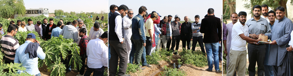 ced-certificate-students-visit-bux-farm-gadap-karachi