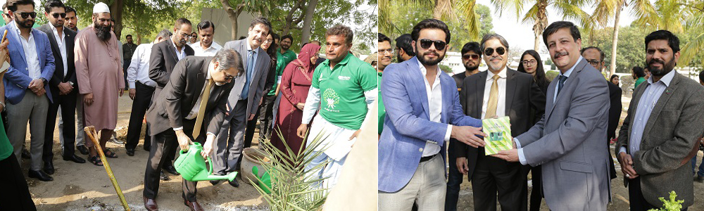 IBA Tree Plantation Drive
