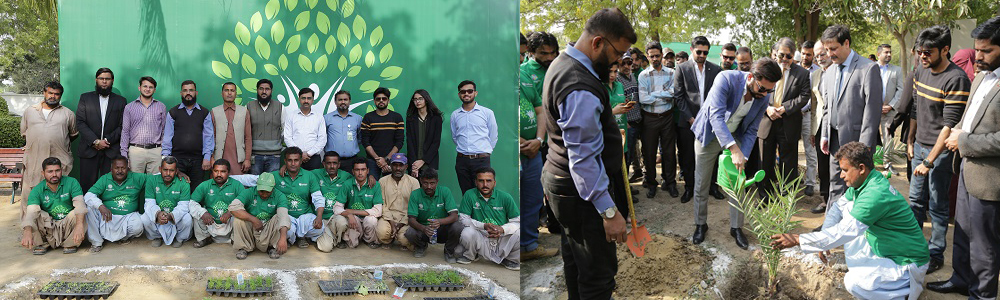 IBA Tree Plantation Drive