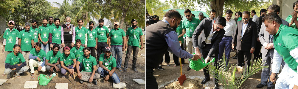IBA Tree Plantation Drive