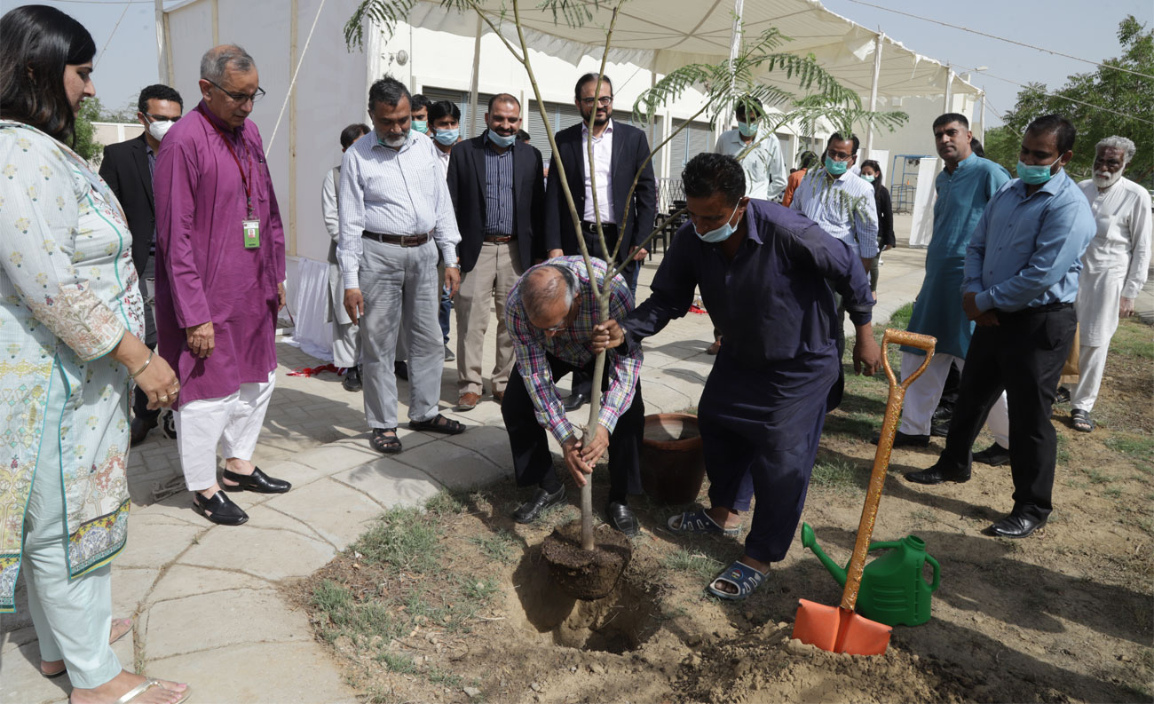 IBA Karachi holds groundbreaking ceremony for solar project